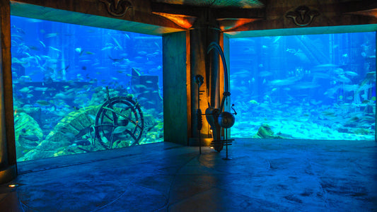 The Lost Chambers - Aquário