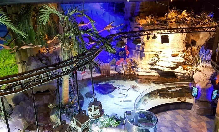 Dubai Aquarium