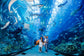 Dubai Aquarium